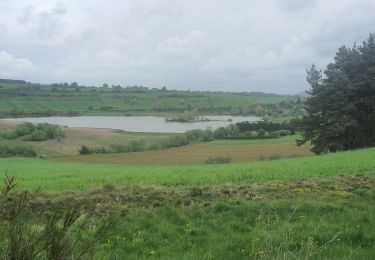 Trail Walking Le Monastier-sur-Gazeille - 07-05-2023 E2 Le Monastier sur Gazeille - Le Bouchet Saint Nicolas  - Photo