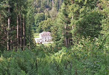 Trail Walking Plombières-les-Bains - 30-07-23 Plombières : circuit jaune n°9 - Photo