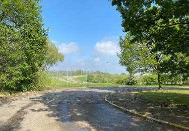 Tour Wandern Berchem-Sainte-Agathe - Sint-Agatha-Berchem - Tour Zellik et échangeur de la mer 10 km - Photo