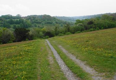 Tour Zu Fuß  - Downlands Circular Walk - Photo