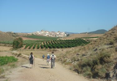 Trail Walking Puente la Reina/Gares - Camino Francés - Etp5 - Puente la Reina - Estella - Photo