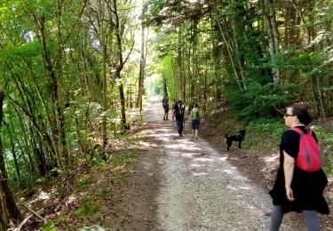 Percorso Marcia Claix - Le plateau de Peuil - Photo