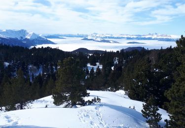 Tocht Sneeuwschoenen Vaulnaveys-le-Haut - Col De la Botte en circuit - Photo