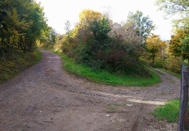 Tocht Stappen Enval - Chalusset  - Photo