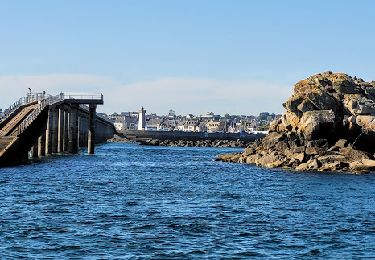 Percorso A piedi Île-de-Batz - Bretagne nord - J1 - L'île de Batz - Photo