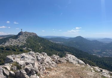 Randonnée sport Évenos - Mont caume  - Photo