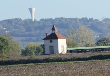 Trail Walking Saint-Laure - 2022-10-25 Saint Laure - Photo