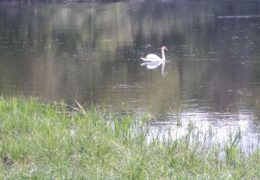 Tocht Stappen Champrougier - Champrougier - Photo