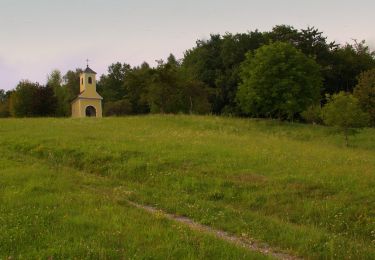 Tocht Te voet Albersdorf-Prebuch - Wanderweg 1 - Photo