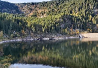 Trail Walking Orbey - Tour du Lac Blanc par le tour du Lac Noir - Photo