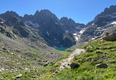 Excursión Senderismo Belvédère - Cime Niré - Photo