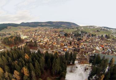 Trail On foot Asiago - Sentiero della Pace nell'Altopiano dei Sette Comuni - Photo