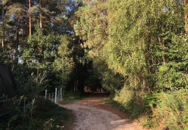 Tocht Stappen Néant-sur-Yvel - Autour des étangs à partir du gîte de tante Phonsine - Photo