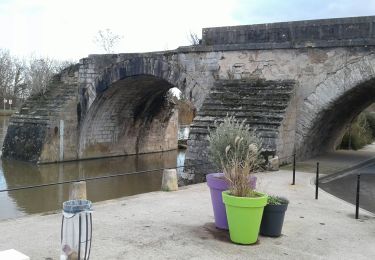 Trail Road bike Paron - 067 NE50 Pont sur Yonne # Voisines-01 - Photo