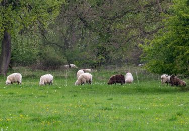 Tocht Te voet Onbekend - Weser-Lutter-Weg - Photo