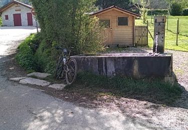 Trail Mountain bike Monnetier-Mornex - activity_6861124196 (1) - Photo
