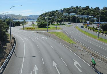 Excursión A pie  - Pauatahanui Harbour circuit - b) Pauatahanui to Paremata Bridge - Photo