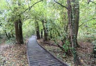 Trail Walking Combs-la-Ville - J 30 Combs la Ville parc de la Couture - Photo