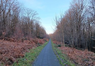 Randonnée Marche Liège - tourniquet au sart-tilman  - Photo