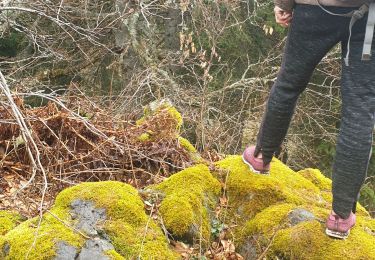 Trail Walking Pradelles - Tour sommets live de Pradelles  - Photo