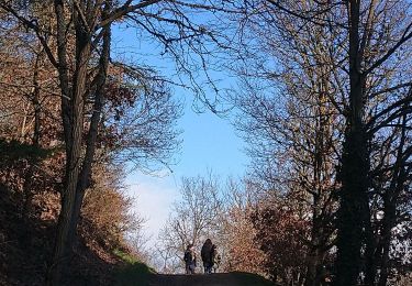 Percorso Camminata nordica Châtel-Guyon - Fonfréde - Photo