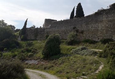 Tour Wandern Rochefort-en-Valdaine - 09 05 rochefort - Photo