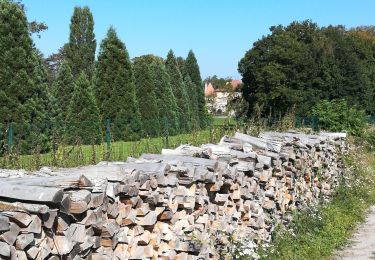 Tour Reiten Rixingen - marche des étangs rechicourt le château  - Photo