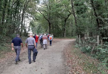 Tour Wandern Moulins-sur-Tardoire - La rando de Vilhoneur côté Nord - Photo