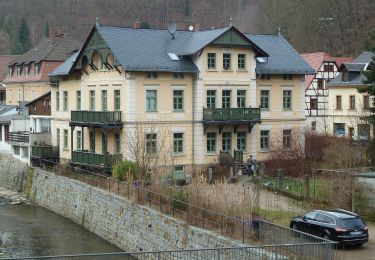 Tocht Te voet Rechenberg-Bienenmühle - Ww Rechenberg-Bienenmühle - Kalkstraße Anschluss EB - Photo