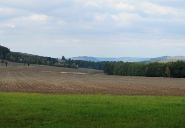 Tour Zu Fuß Gohrisch - Grüner Punkt, Sächsische Schweiz (linkselbisch) - Photo