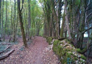 Excursión Senderismo Besançon - Forêt de Chailluz - Photo