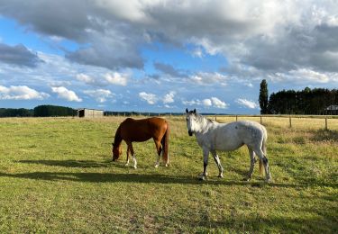 Percorso Marcia Asse - Asbeek 8 km - Photo