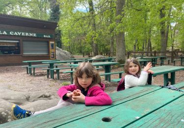 Tour Wandern Fontainebleau - Randocavernes rochers - Photo