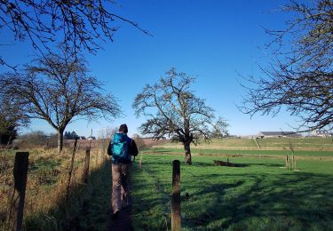 Trail Walking Villers-la-Ville - Balade à Sart-Dames-Avelines - Photo