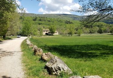 Trail Walking Bargemon - Les bois de Favas et de Coste Rousse 2 - Photo