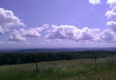 Tocht Mountainbike Lugny - Lugny m'ont st romain - Photo