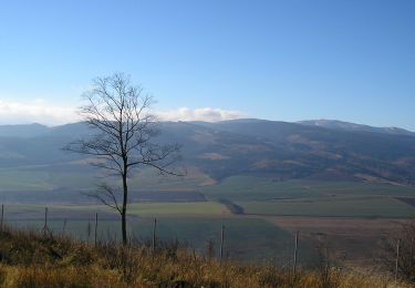 Excursión A pie okres Poprad - Kvetnica - Zámčisko - Kvetnica - Photo