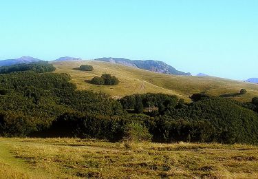 Percorso A piedi Ferriere - Mulino di Castagnola - Castagnola - Cantone - Photo