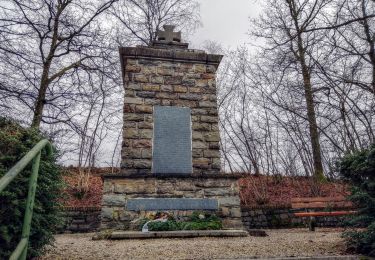 Tour Zu Fuß Siegen - Langenholdinghausener Rundweg 2 - Photo