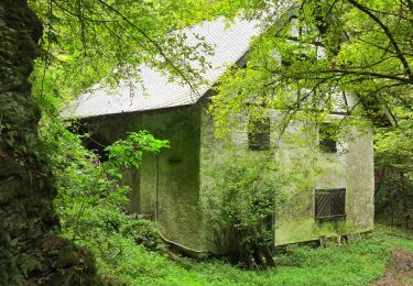 Randonnée A pied Greimersburg - Bücheler Wanderweg 3 - Photo