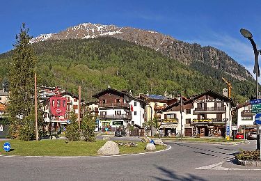 Randonnée A pied Courmayeur - Alta Via n. 2 della Valle d'Aosta - Tappa 1 - Photo