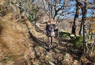 Tour Wandern Aubignas - Aubignas Chenavari 16km - Photo