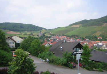 Percorso A piedi Meddersheim - Wingertsweg - Photo