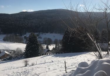 Trail Walking Le Hohwald - Cascade du Hochwaldes - Photo