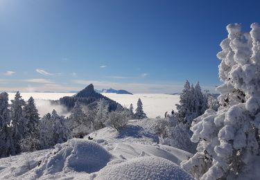 Percorso Racchette da neve Sarcenas - Le  Mont Fromage et ses crêtes - Photo