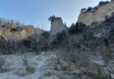Trail Walking Cairanne - Les Terrasses de l'Aygues - Photo