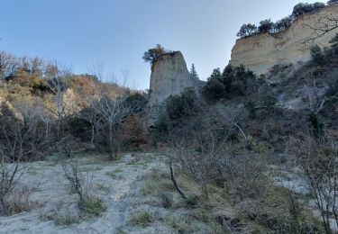 Tocht Stappen Cairanne - Les Terrasses de l'Aygues - Photo