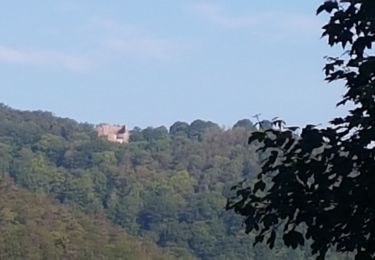 Tour Wandern Bad Niederbronn - Windstein entre châteaux et ligne Maginot - Photo