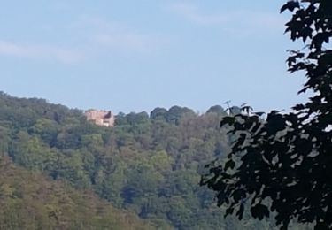 Tocht Stappen Niederbronn-les-Bains - Windstein entre châteaux et ligne Maginot - Photo