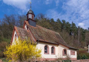 Tour Zu Fuß Kirchzell - Rundwanderweg Kirchzell 5: Wildenburg-Runde - Photo